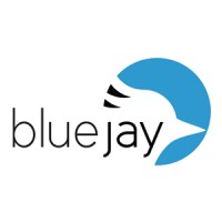 Blue Jay Eindhoven logo, Blue Jay Eindhoven contact details