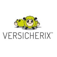 Versicherix AG logo, Versicherix AG contact details