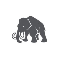 Mammoth Consulting Africa logo, Mammoth Consulting Africa contact details