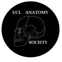 UCL Anatomy Society logo, UCL Anatomy Society contact details