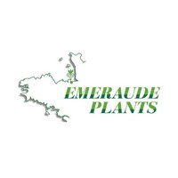 EMERAUDE PLANTS logo, EMERAUDE PLANTS contact details