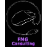 F.M.G. Consulting, S.L. logo, F.M.G. Consulting, S.L. contact details