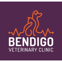 Bendigo Veterinary Clinic logo, Bendigo Veterinary Clinic contact details