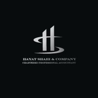 HAYAT SHAHI & COMPANY, CPA logo, HAYAT SHAHI & COMPANY, CPA contact details