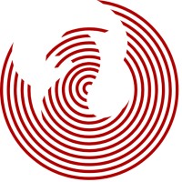 Dragon Protocol logo, Dragon Protocol contact details