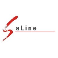 Saline Co., Ltd logo, Saline Co., Ltd contact details