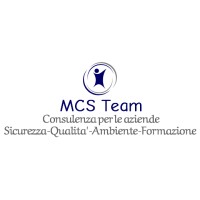 MCS TEAM logo, MCS TEAM contact details