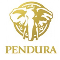 PENDURA CORPORATION logo, PENDURA CORPORATION contact details