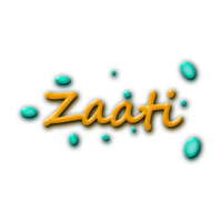 ZAATI Consulting logo, ZAATI Consulting contact details