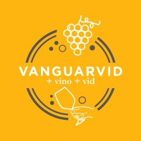 Vanguarvid logo, Vanguarvid contact details