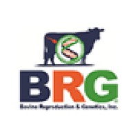 Bovine Reproduction & Genetics, Inc. - BRG logo, Bovine Reproduction & Genetics, Inc. - BRG contact details