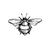 BeeKind, LLC logo, BeeKind, LLC contact details