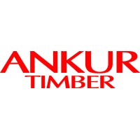 Ankur Timber logo, Ankur Timber contact details