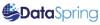 DataSpring logo, DataSpring contact details