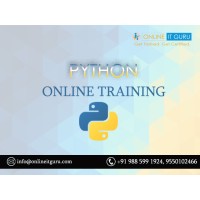 python online course logo, python online course contact details