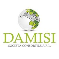 Damisi Società Consortile Arl logo, Damisi Società Consortile Arl contact details