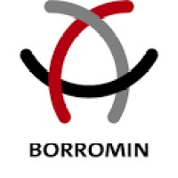 Borromin Capital Management GmbH logo, Borromin Capital Management GmbH contact details