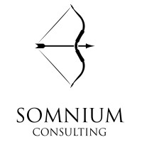 Somnium Consulting LLC logo, Somnium Consulting LLC contact details