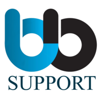 BigByte Support LLC logo, BigByte Support LLC contact details