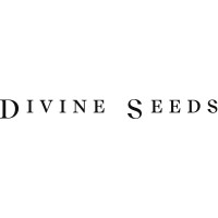 DIVINE SEEDS logo, DIVINE SEEDS contact details