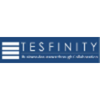 Tesfinity Consulting logo, Tesfinity Consulting contact details