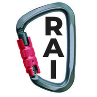 RAI SG Solutions logo, RAI SG Solutions contact details