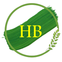 HB Learning Solutions LLP logo, HB Learning Solutions LLP contact details