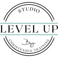 Studio Level Up logo, Studio Level Up contact details