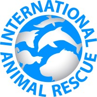 International Animal Rescue logo, International Animal Rescue contact details