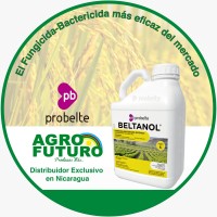 AGROFUTURO logo, AGROFUTURO contact details