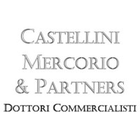 Studio Castellini Mercorio & Partners logo, Studio Castellini Mercorio & Partners contact details