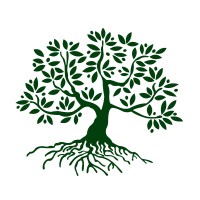 The Olive Tree Initiative logo, The Olive Tree Initiative contact details