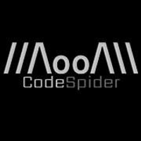 CodeSpider logo, CodeSpider contact details