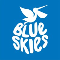 Blue Skies Holdings Ltd logo, Blue Skies Holdings Ltd contact details