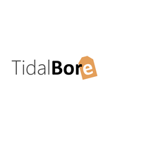 TidalBore Group logo, TidalBore Group contact details