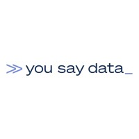 You Say Data Limited logo, You Say Data Limited contact details