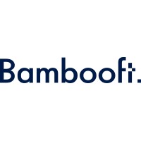 Bamboo Fintech logo, Bamboo Fintech contact details