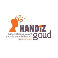 HANDIZGOUD INSA LYON logo, HANDIZGOUD INSA LYON contact details