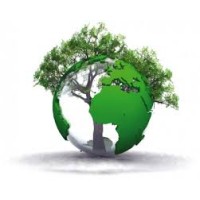 NEW ECO HOLDINGS GROUP logo, NEW ECO HOLDINGS GROUP contact details