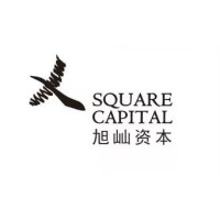 X Square Capital logo, X Square Capital contact details