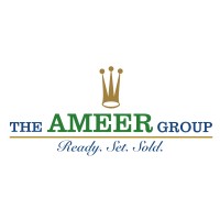 The Ameer Group logo, The Ameer Group contact details