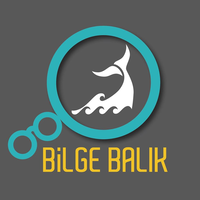 Bilge Balık logo, Bilge Balık contact details