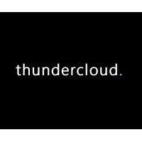 Thundercloud Advisory logo, Thundercloud Advisory contact details