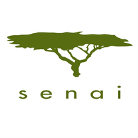 Senai Global logo, Senai Global contact details