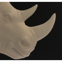 Rhino Management logo, Rhino Management contact details