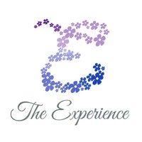 The Experience Events logo, The Experience Events contact details