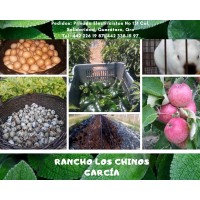 Rancho Los Chinos logo, Rancho Los Chinos contact details