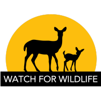 Watch For Wildlife logo, Watch For Wildlife contact details