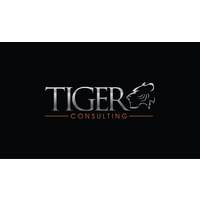 Tiger Consulting LLC logo, Tiger Consulting LLC contact details