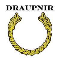 Draupnir Infrastructure Group, LLC logo, Draupnir Infrastructure Group, LLC contact details